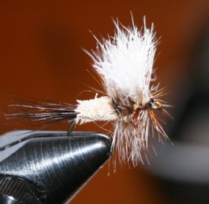 The Ausable Wulff was created by Fran Betters of Wilmington, N.Y. 