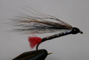 Black nose dace bucktail fly is an imitator of fish