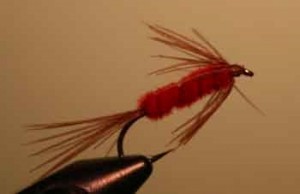 Carey special wet fly