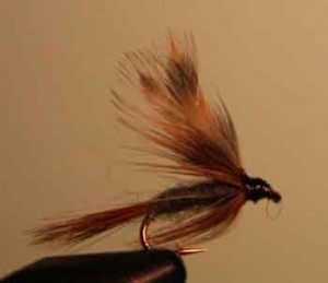 adams wet fly is a good wet fly for fly fishing a a great addition to your tackle box for regular fishing