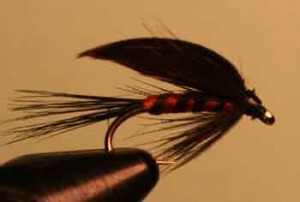 black & orange wet fly is a fantastic wet to fish mid-depth in flowing streams