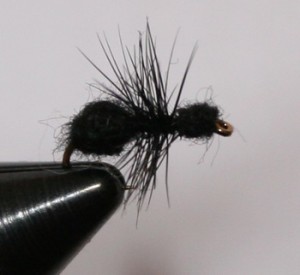 The black ant dry fly is a simple pattern to tie and works well for trout as well as panfish