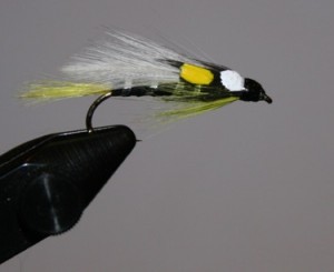 The black ghost streamer fly is meant to be fished on sinking line within the water column