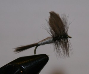 blue dun dry fly is a great fly to learn to tie and fish