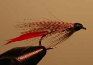 grizzly king wet wet fly is a good mid-water imitator