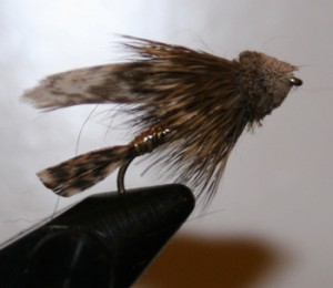 Muddler minnow is a great all around fly for every fly fishers fly box