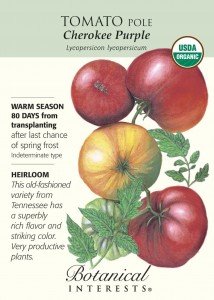 pole cherokee purple tomato varieties will be grown for summer time eating