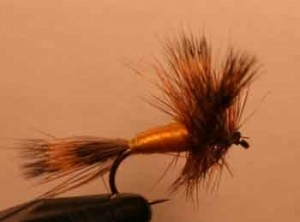 grizzly wulff dry fly