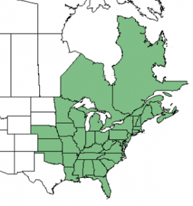 white baneberry range map