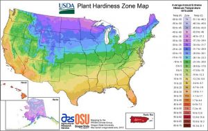 Plant Hardiness Zone Map