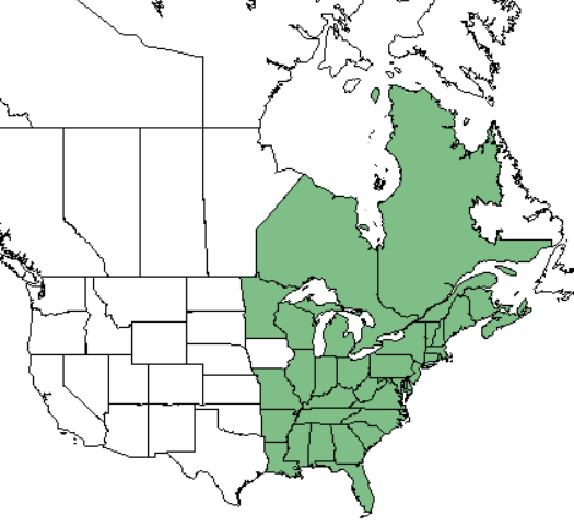 Indian cucumber range map