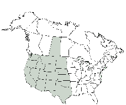 four-wing saltbush range is the western USA