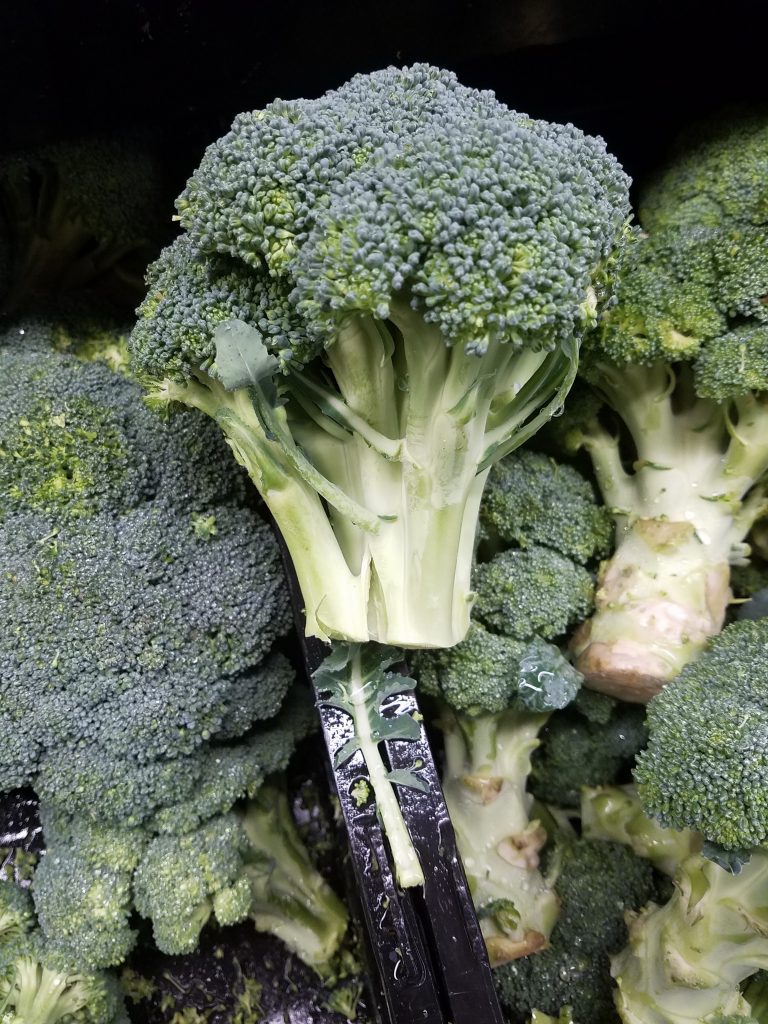 broccoli gardening Broccoli is a nutritious vegetable, high in dietary fibers, vitamins and minerals